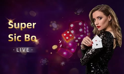 bb33 category overview for sports entertainment and adult user guidance